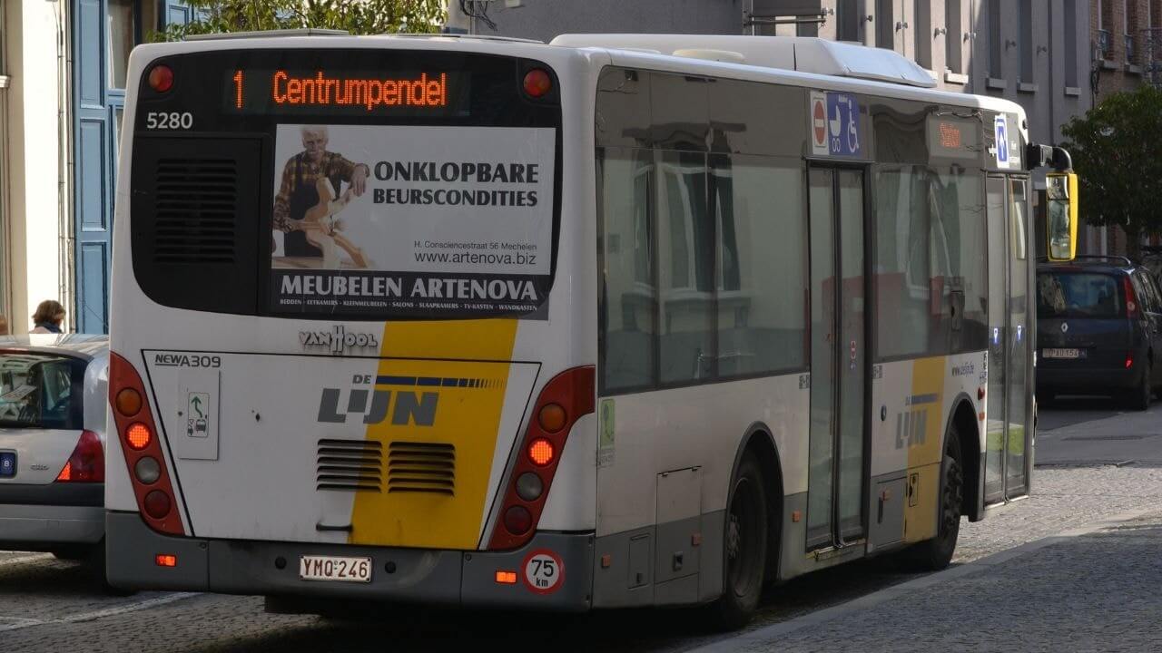 Bus Transpo options: city bus, hotel shuttles and the airport shuttles